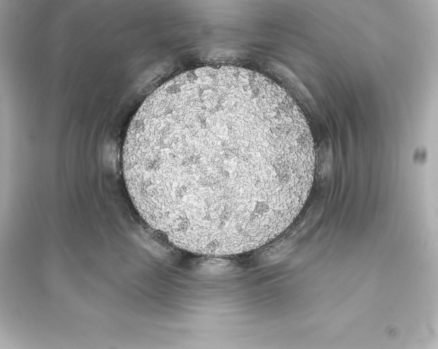 X0000093620669200711121237