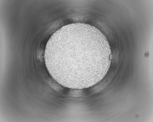 X0000093620671200711121237