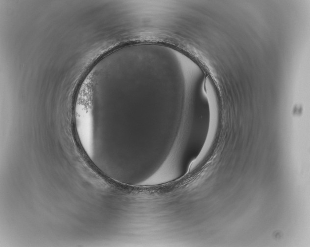 X0000093620673200711121236