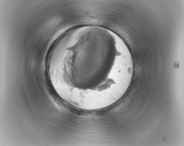 X0000093620674200711121236