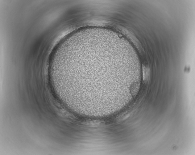 X0000093620675200711121236