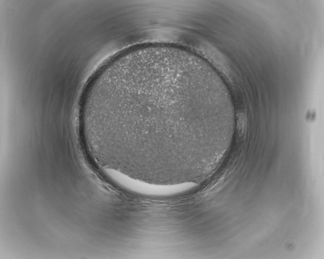 X0000093620676200711121236