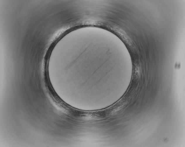 X0000093620678200711121236