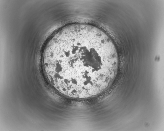 X0000093620679200711121236