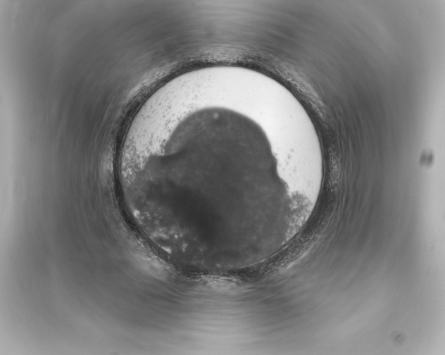 X0000093620681200711121236