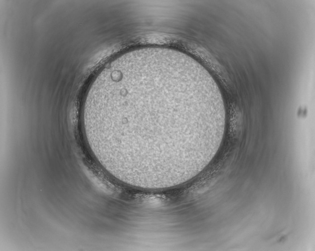 X0000093620683200711121236