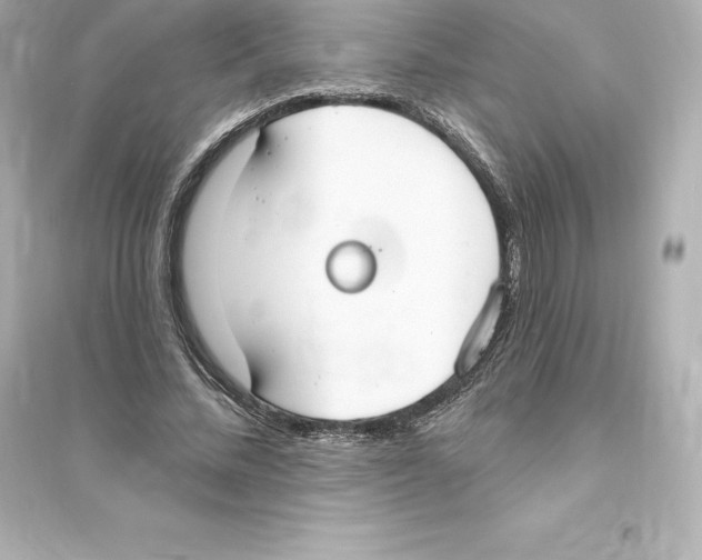 X0000093620684200711121236