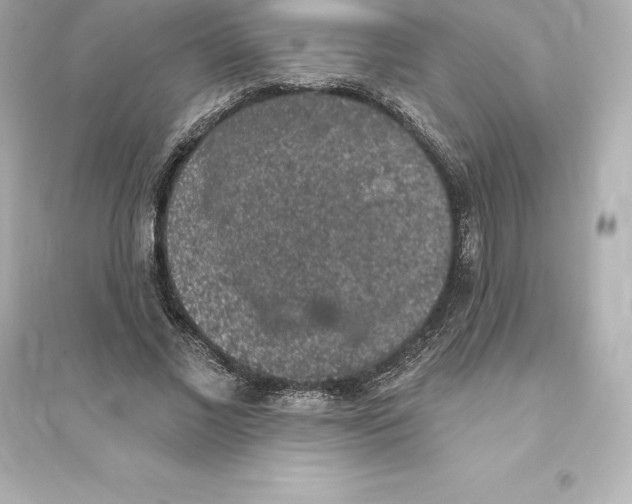 X0000093620685200711121236