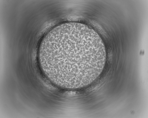 X0000093620687200711121236