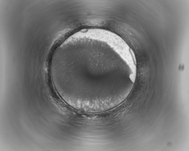 X0000093620688200711121236