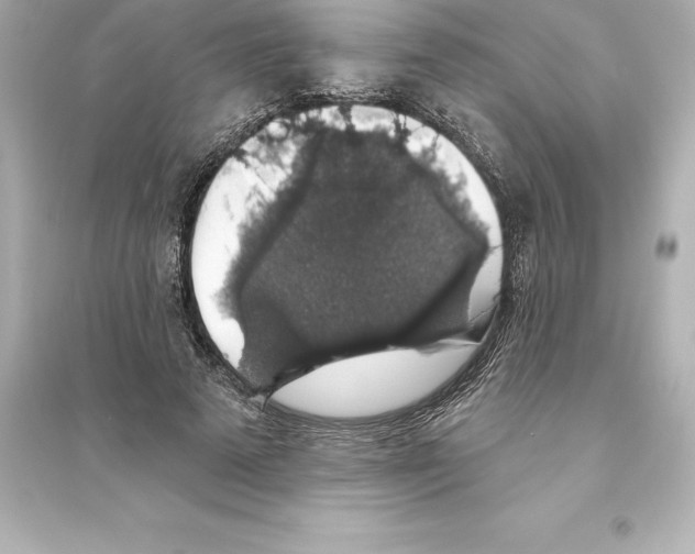 X0000093620689200711121236