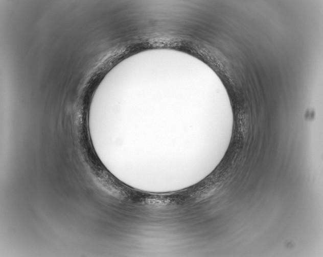 X0000093620690200711121236