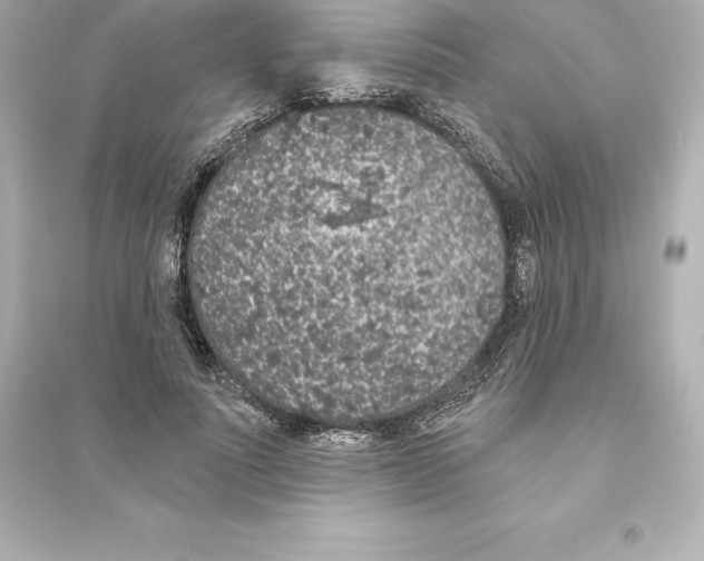 X0000093620691200711121236