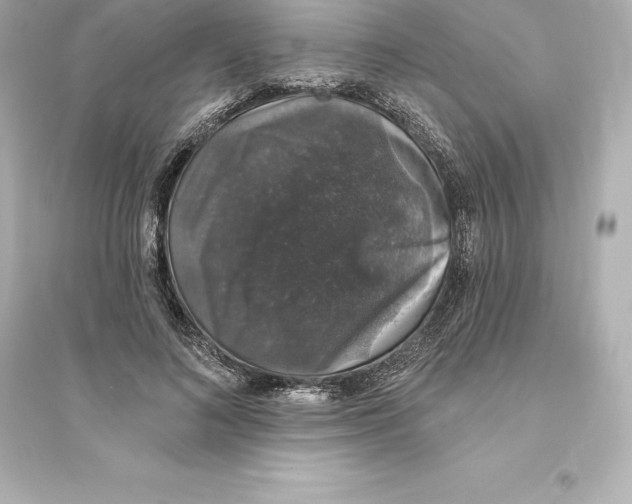 X0000093620692200711121236