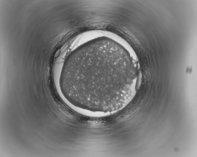 X0000093620693200711121236