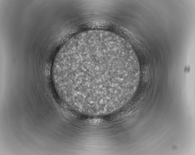 X0000093620695200711121236