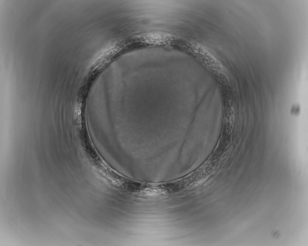 X0000093620696200711121236