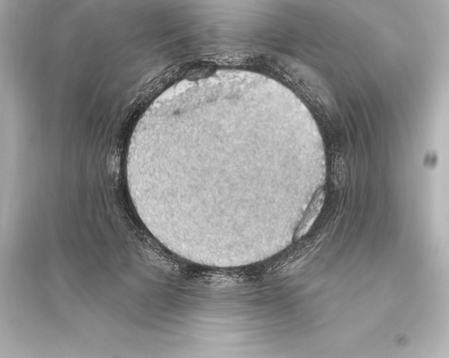 X0000093620697200711121236