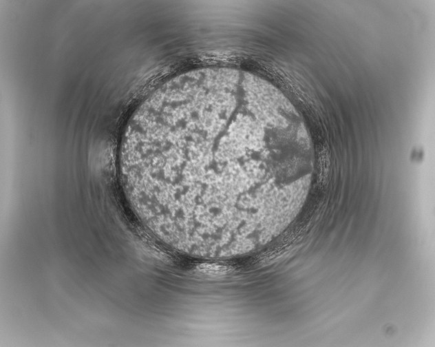 X0000093620699200711121236