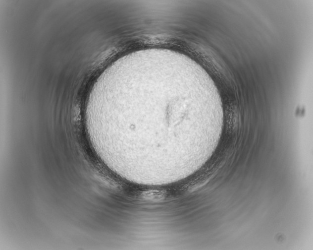 X0000093620700200711121236