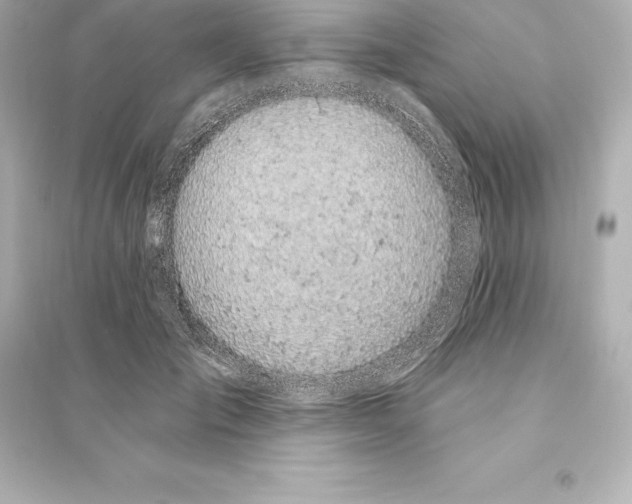 X0000093620701200711121236