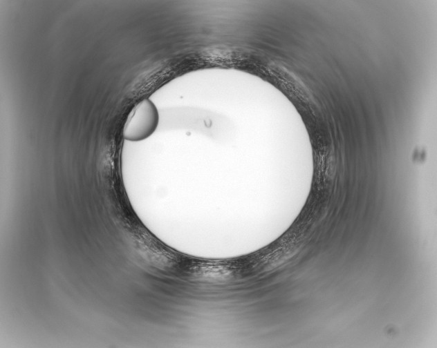 X0000093620702200711121236