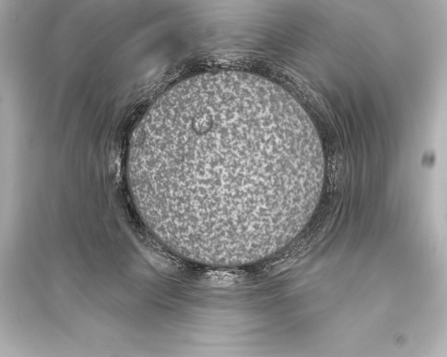 X0000093620703200711121236