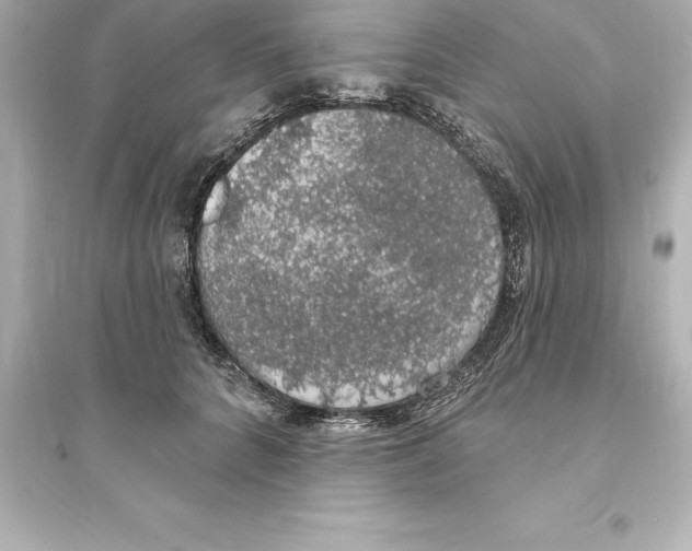 X0000093620704200711121236