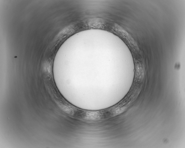 X0000093620705200711121236