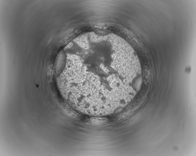 X0000093620707200711121236