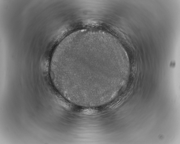 X0000093620708200711121236