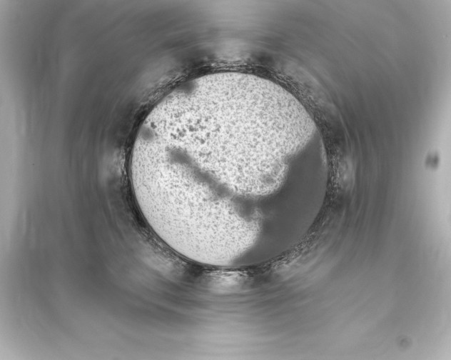 X0000093620711200711121236