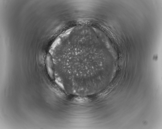 X0000093620712200711121236