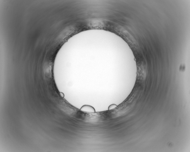 X0000093620717200711121235