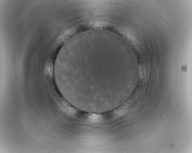 X0000093620718200711121235