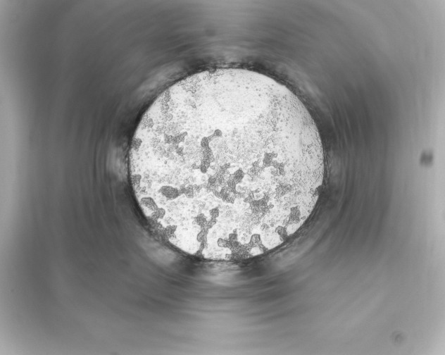 X0000093620719200711121235