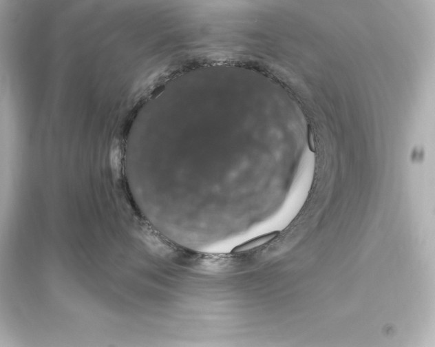 X0000093620720200711121235