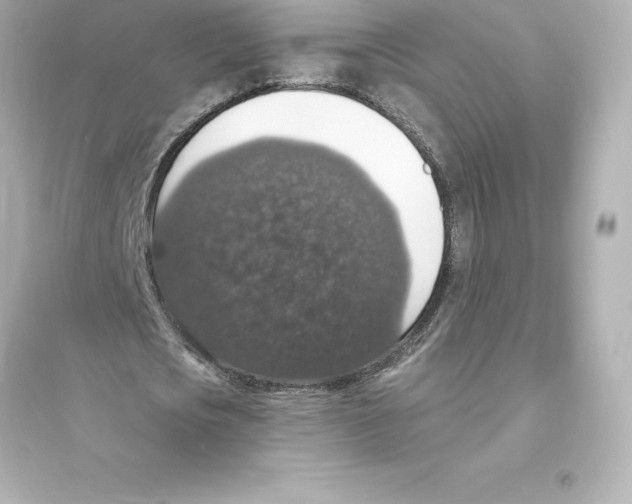 X0000093620721200711121235