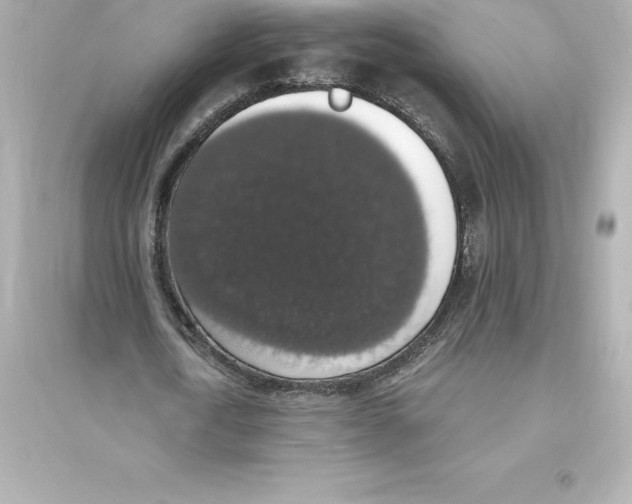 X0000093620722200711121235