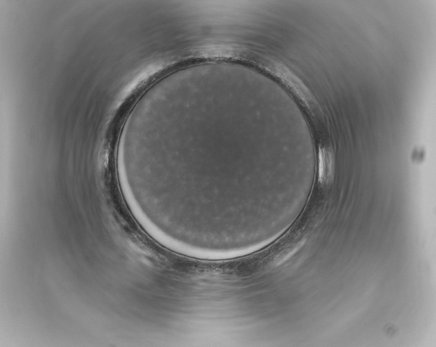 X0000093620723200711121235