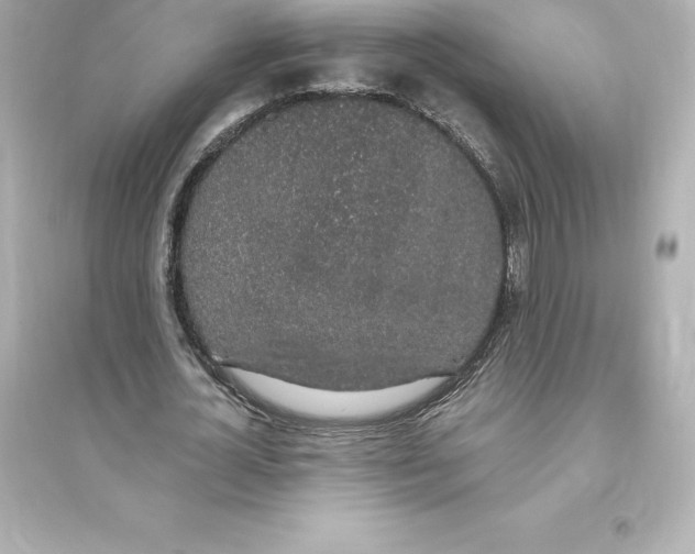 X0000093620724200711121235