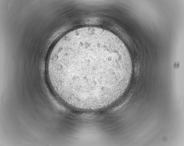 X0000093620725200711121235