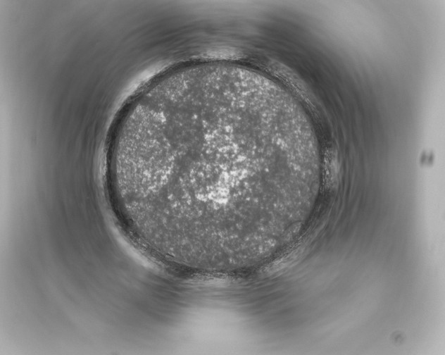 X0000093620726200711121235