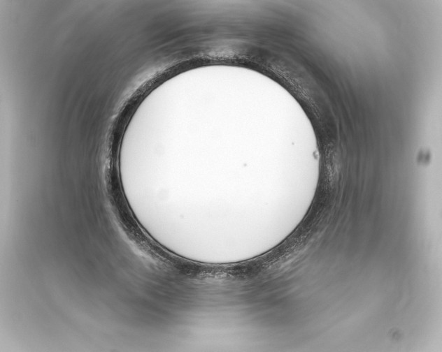 X0000093620728200711121235