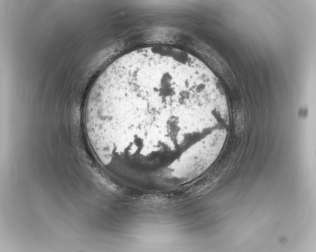 X0000093620729200711121235