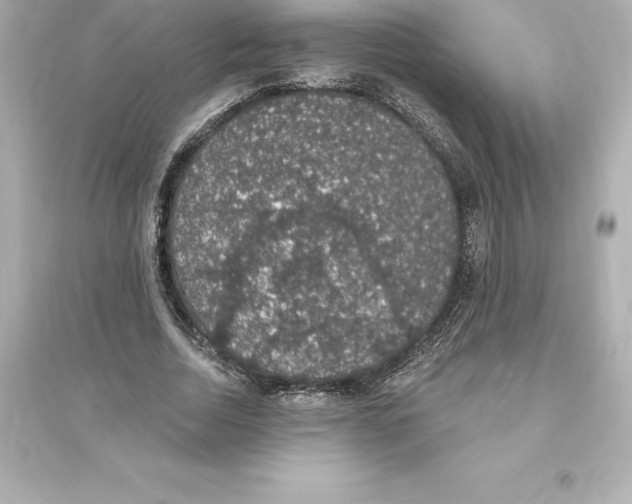 X0000093620730200711121235