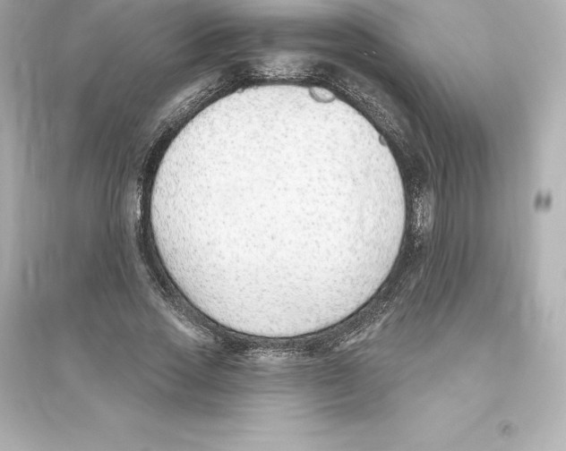 X0000093620733200711121235