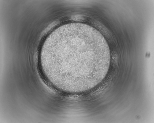 X0000093620734200711121235