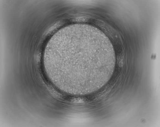 X0000093620735200711121235