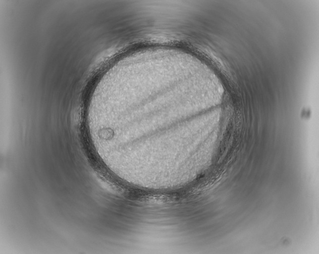 X0000093620736200711121235